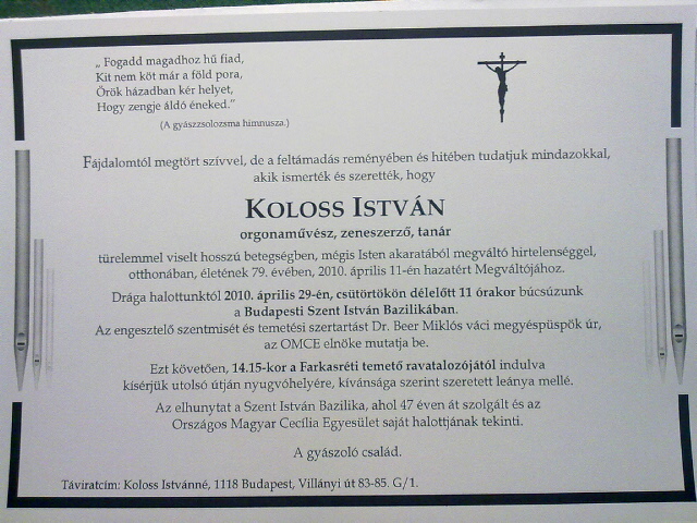 koloss_particedula_305_20100425211155_168.jpg